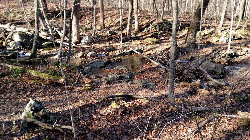 Dark Hollow Creek crossing choices: rocks or narrow log.