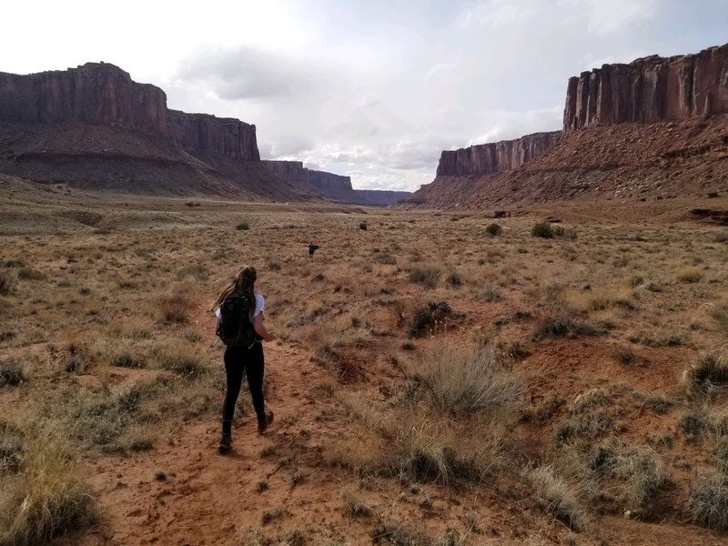 View from canyon floor