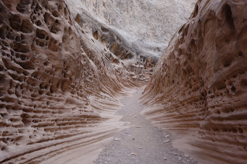 Indications of vigorous water flow in Little Wild Horse Canyon.