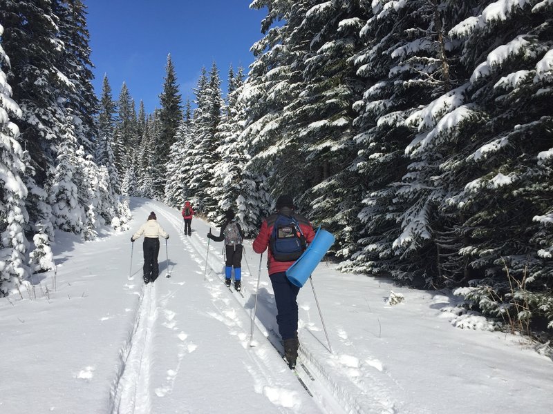 Heading north on the Wandering Wolf Trail