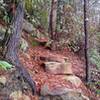 Step-like rock features commonly found on this trail.