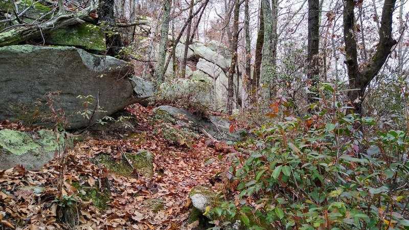 View of the trail as it passes along rock features.