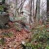 View of the trail as it passes along rock features.