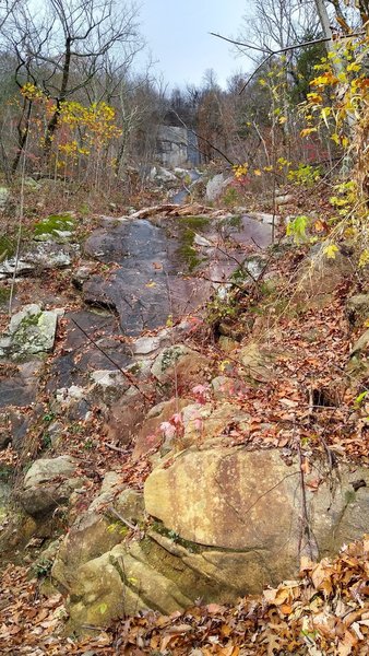 Rock cliff/wall along the trail.