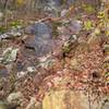 Rock cliff/wall along the trail.