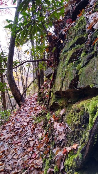 Moss covered rock wall along the trail.