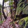 Moss covered rock wall along the trail.