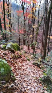 View of the trail as it descends into Jones Gap State Park.