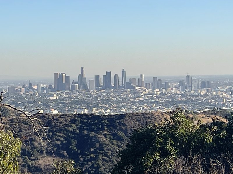 Picture of LA from the trail