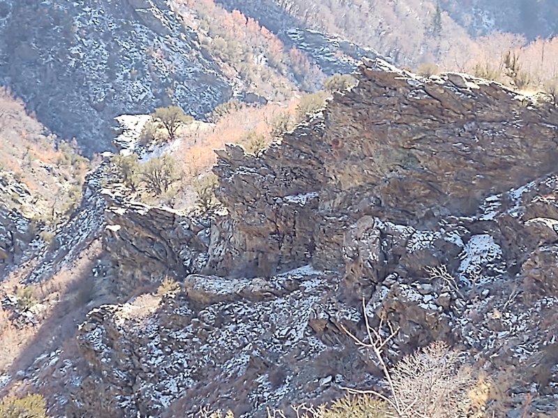 The Shepard Creek Trail is very hard to follow, but one of the more interesting parts of the hike is that the trail skirts the under-part of these overhanging cliffs.