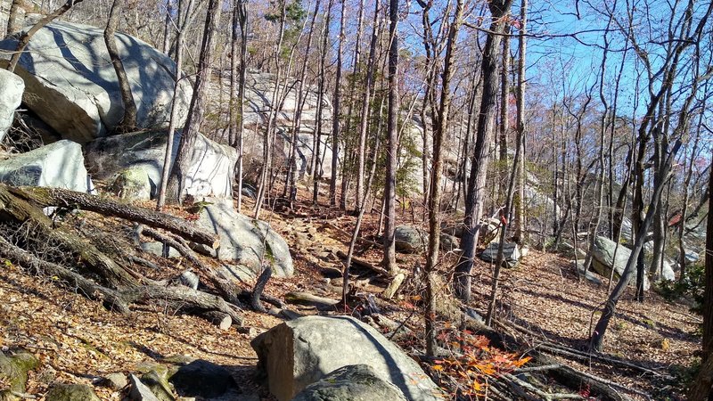 Boulders strewn about the forest along the trail.