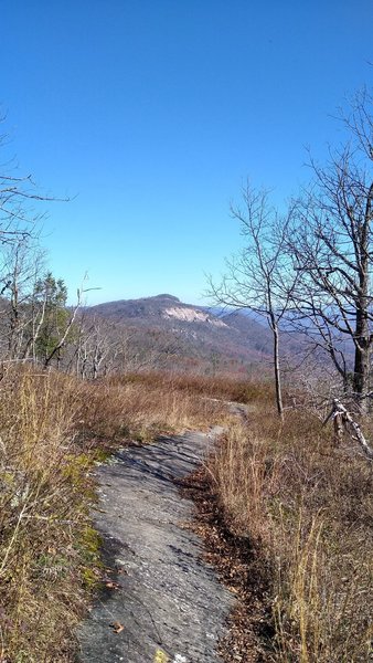 View of Table Rock in the distance hiking along Pinnacle Mountain Trail.