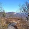 View of Table Rock in the distance hiking along Pinnacle Mountain Trail.