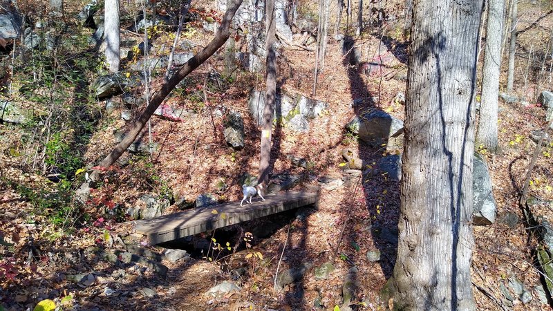 One of a few wood bridges along trail.