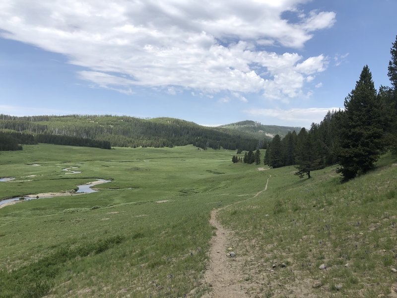 Pelican Creek Trail