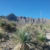 View of  Franklin Mountains from the trail.