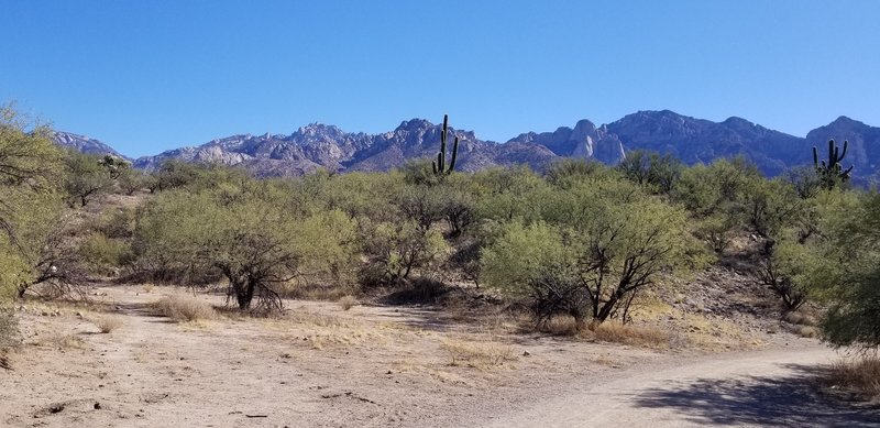 Looking east at the Catalina Mountains with the trail curving to the right; the entire trail is clear and wide.