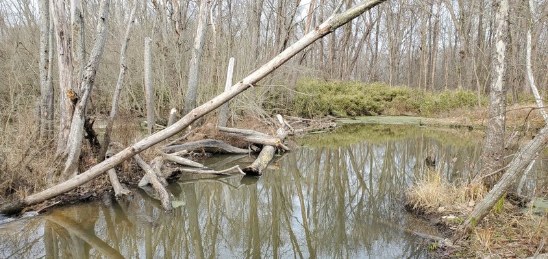 Old oxbow of the Patoka River