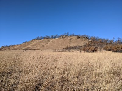 Golden hills
