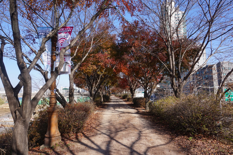 Walking north on the top path along Anyangheon Stream