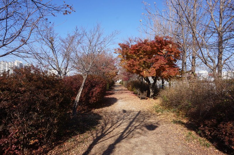 Walking north on the top path towards Guil Station.