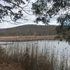 Pond in Jennings Hollow.