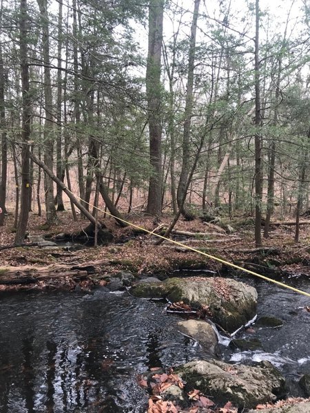 Creek Crossing with a rope