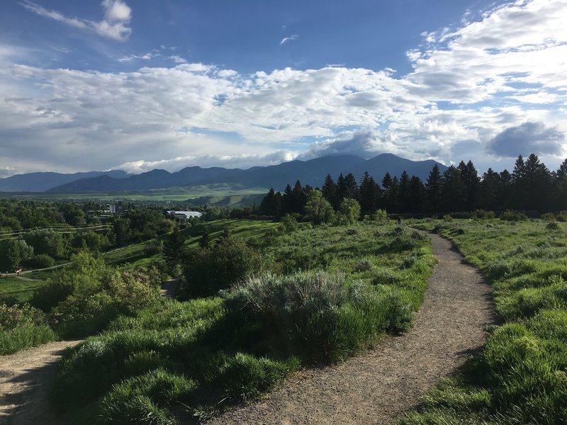 View of the Bridger Mountains from Peet's Hill.