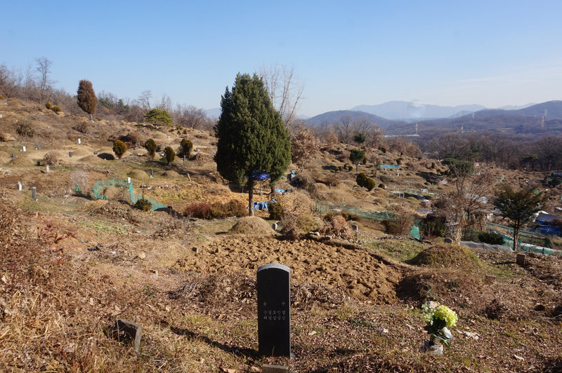 Cemetery to the south of Godeok-ro.