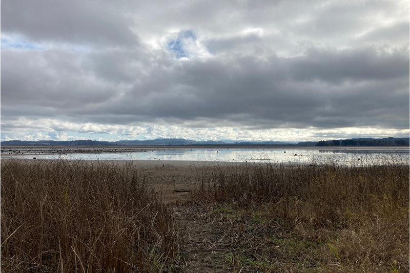 Fern Ridge Resevior drained and ready for a rain flood surge.