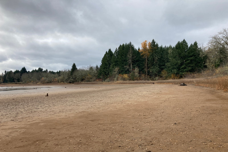 Exploring the lake shore of the penisula.