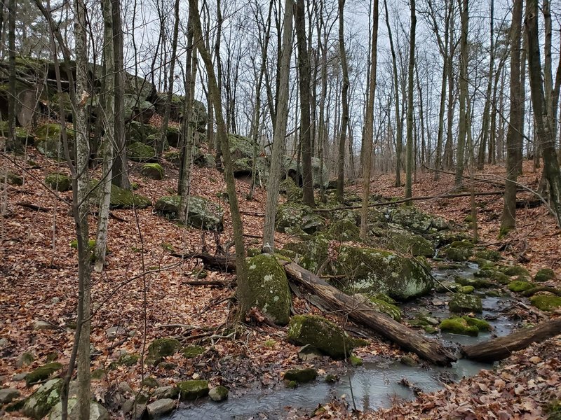 Milburn Creek in early winter.