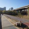 Seoul Trail crosses over Tancheon Stream