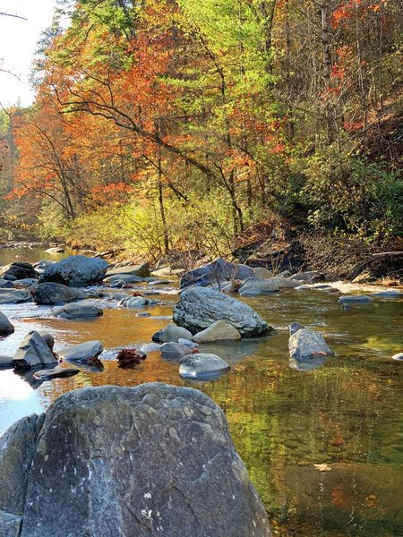 Beautiful fall colors