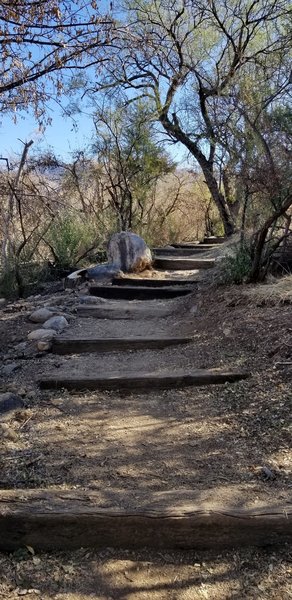 One of two sets of stairs along this short, scenic route. Some stairs are steeper than others, and uneven.