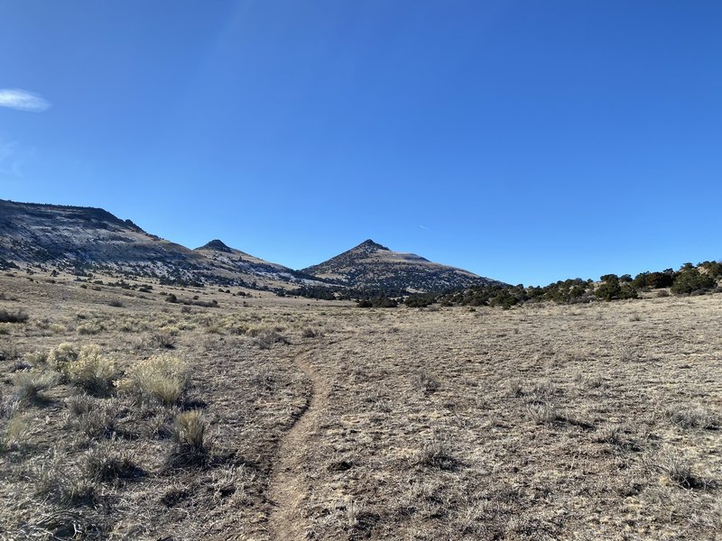 Dog Mountain about 2 miles in...