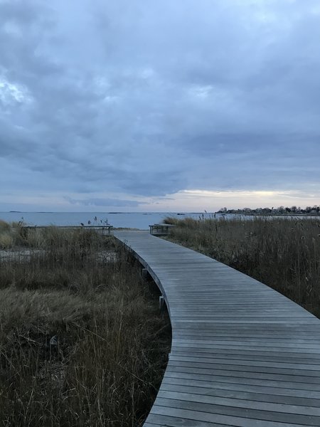 The boardwalk at the start of the New England Trail.