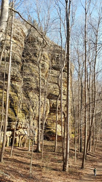 Sandstone cliffs