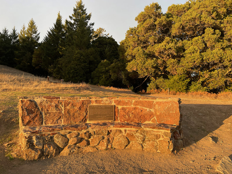 The Long Ridge Trail descends into the woods behind the Wallace Stegner Bench.