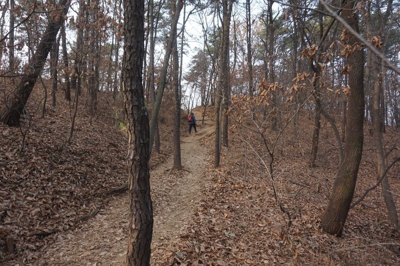 Seoul Trail in Dulle Forest.