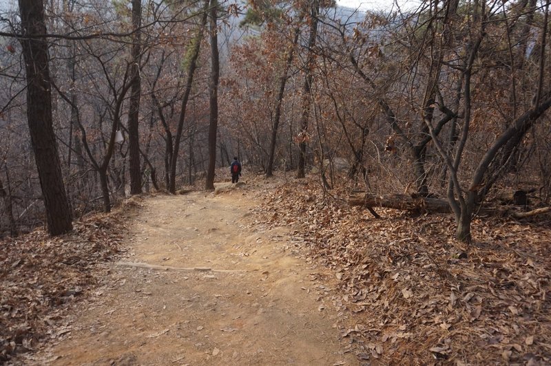 Seoul Trail at Dulle Forest