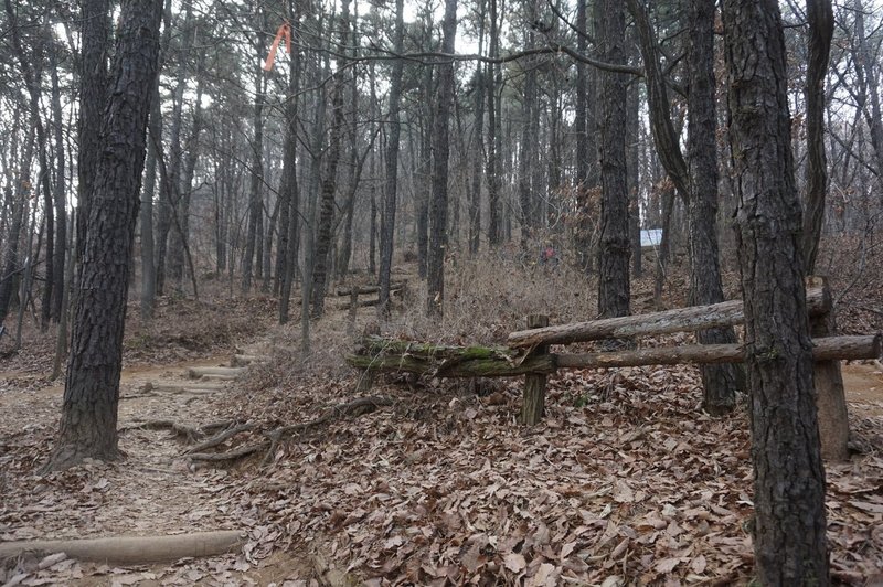 Seoul Trail at Dulle Forest