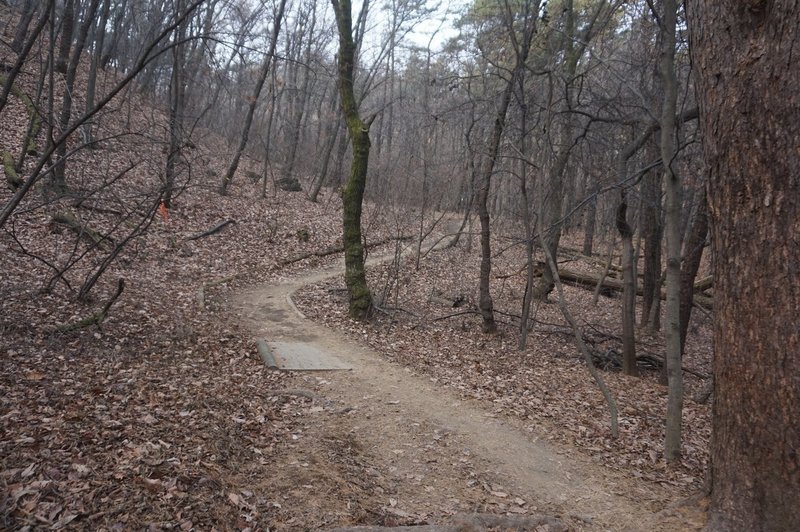 Seoul Trail at Dulle Forest