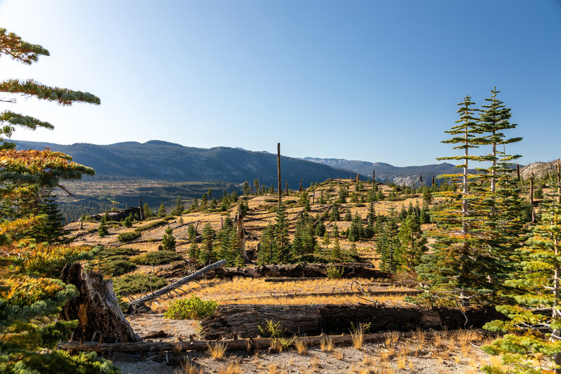 The Buttresses from Summit Meadow Trail.