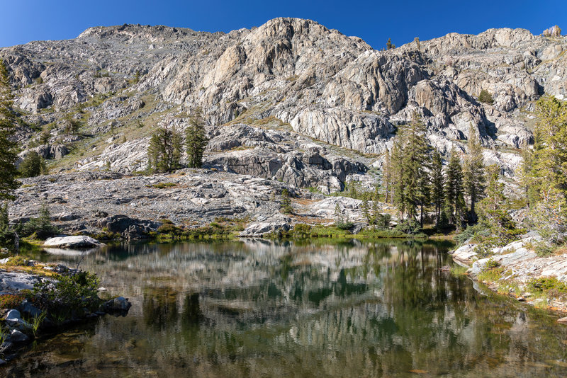 One of the little ponds next to Holcomb Lake.