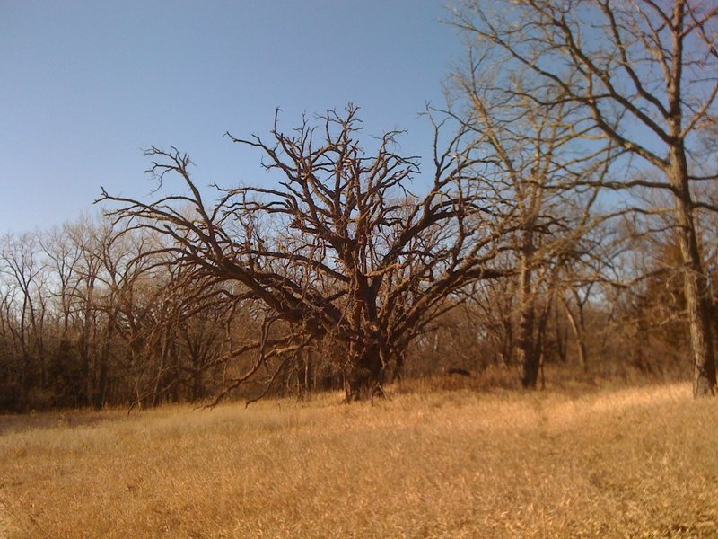 Along the trail