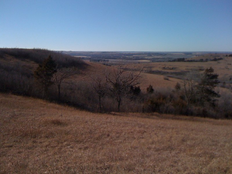 Along the trail.