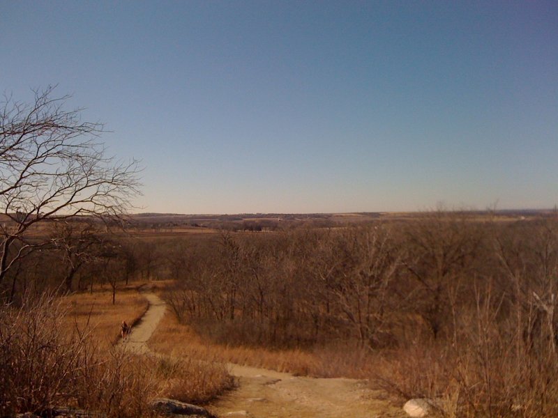 View of the trail.