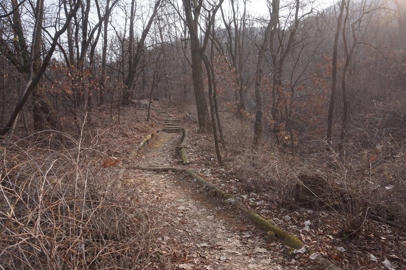 Seoul Trail on Guryongsan Mountain