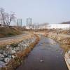 Seoul Trail at Yeouicheon Stream